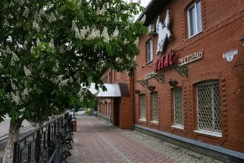 Сасово: Пегас