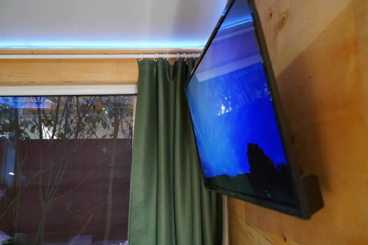 Адлер: ECOSUITE APARTMENTS