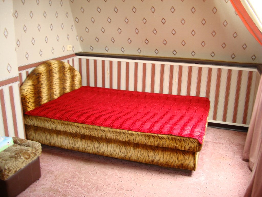 Брянск: Snezhetskaya Apartments
