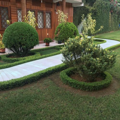 Shashilka Le Chalet — фото 4