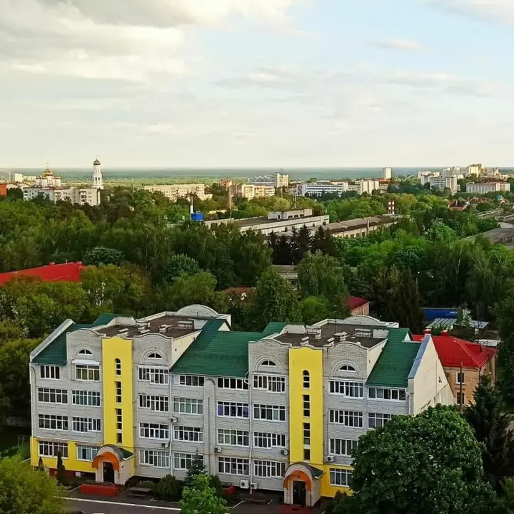 Брянск: Две Подушки на улице Дуки 27