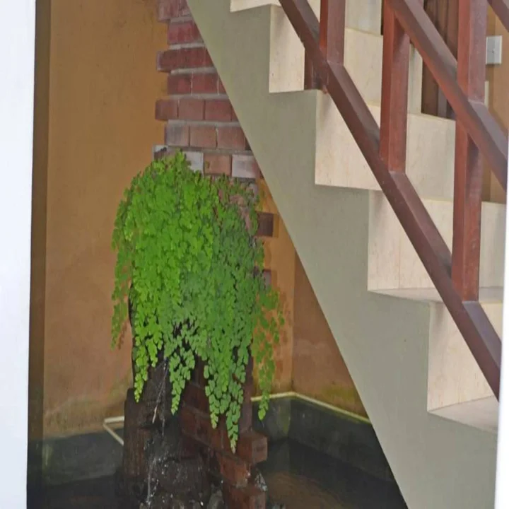 Унаватуна: Palitha Guesthouse Hotel Dandelion