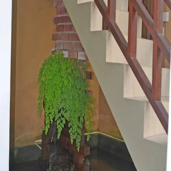 Унаватуна: Palitha Guesthouse Hotel Dandelion