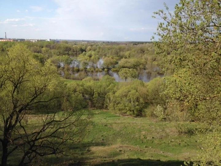 Брянск: Водолей