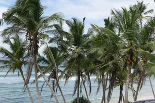 Ахангама: Surf Station