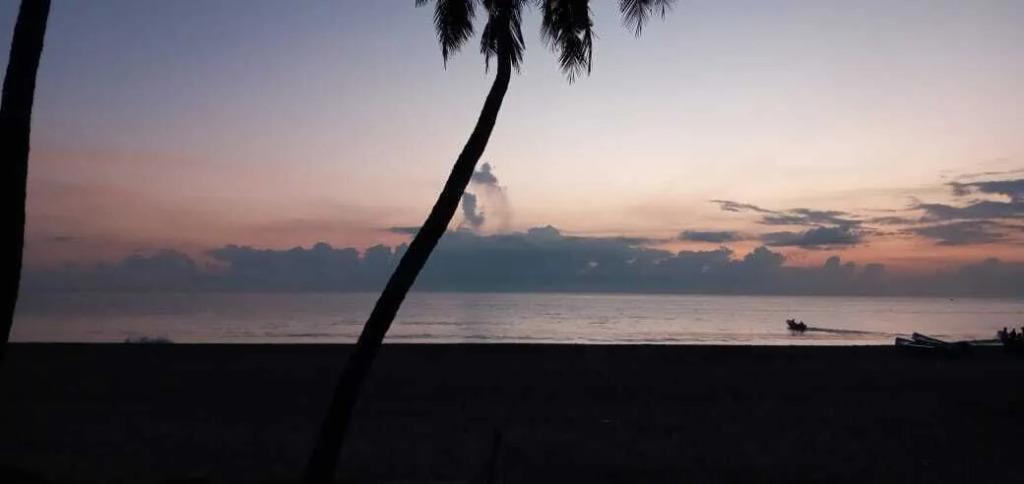 Аругам-Бэй: New Tristar Beach Hotel