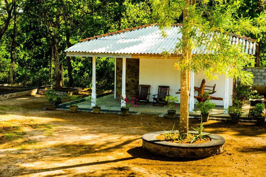 Sunshadow Chalet — фото 3