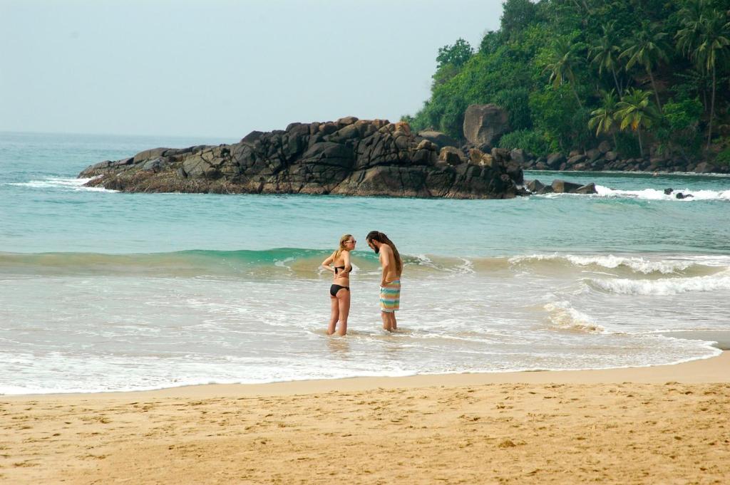 Мирисса: Dilara Resort Mirissa