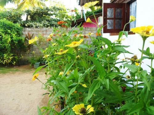 Мирисса: Maya Guest House