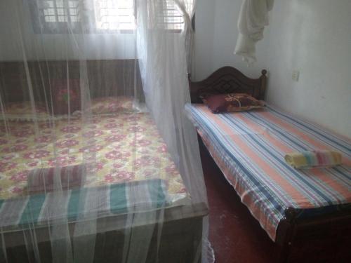Мирисса: Golden Rose Guest
