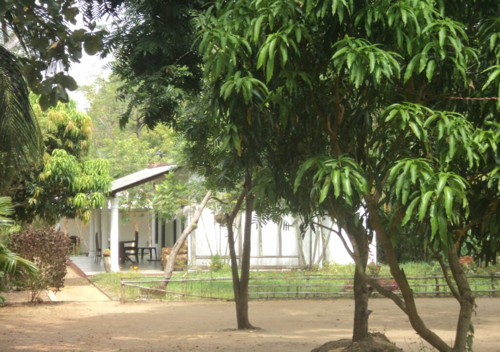 Indigollawa Park — фото 5