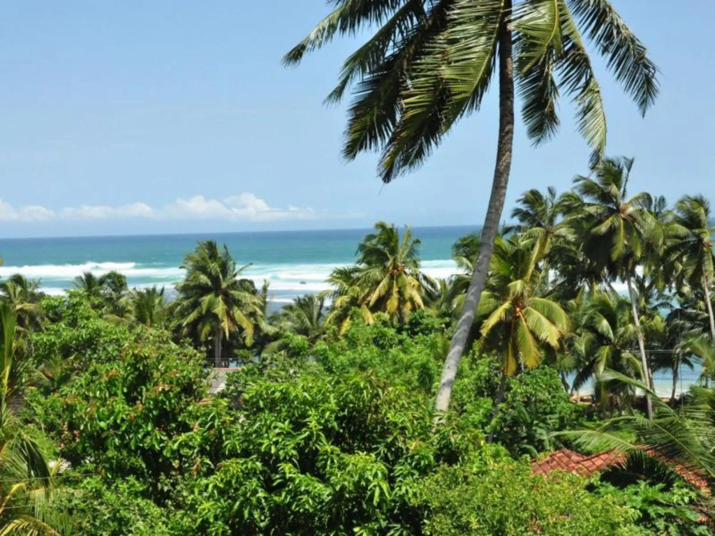 Мирисса: Amanda Resort Mirissa