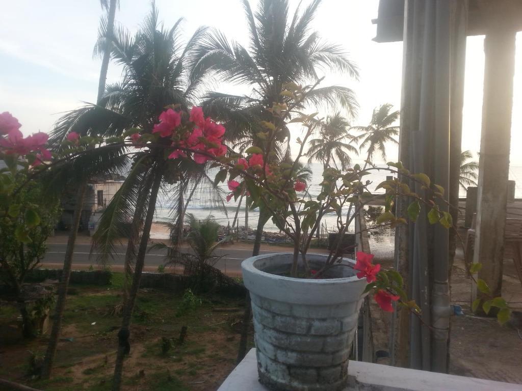 Мирисса: Sun Ocean Inn Mirissa