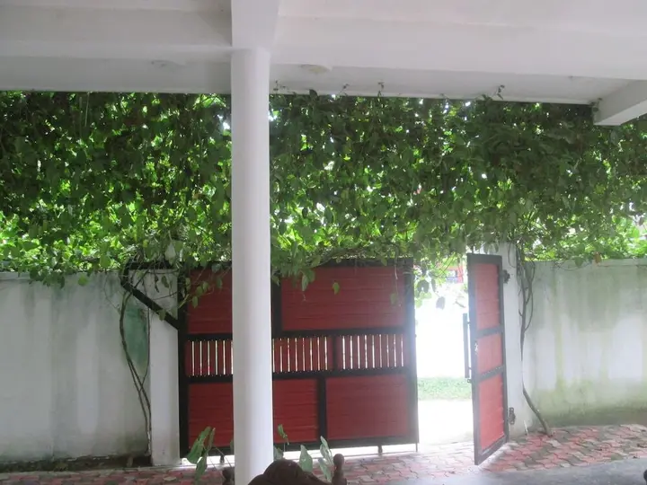 Ахангама: Dhanushka Guest House