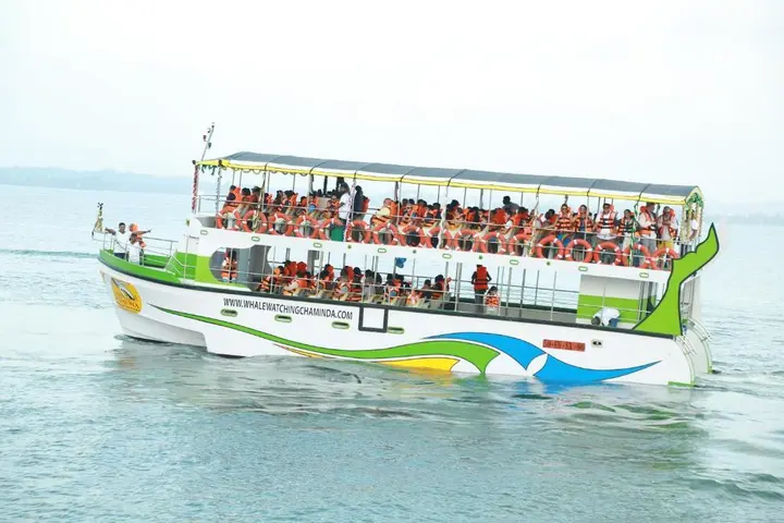 Мирисса: Sun Bird Eco Guest Mirissa