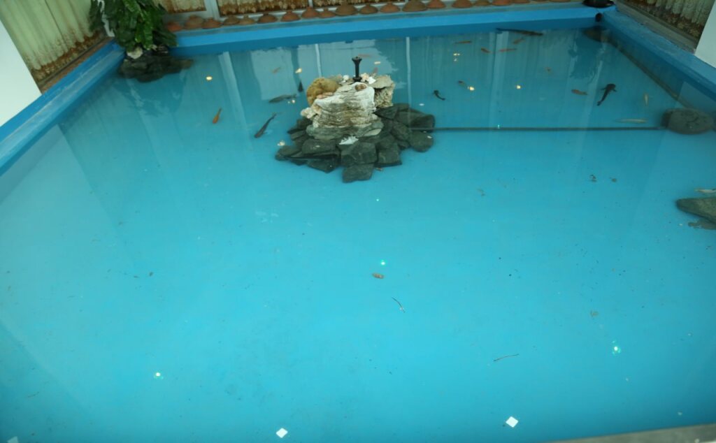 Джафна: Hotel Lux Etioles