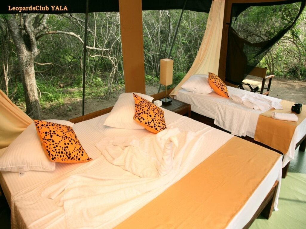 Киринда: LeopardsClub YALA