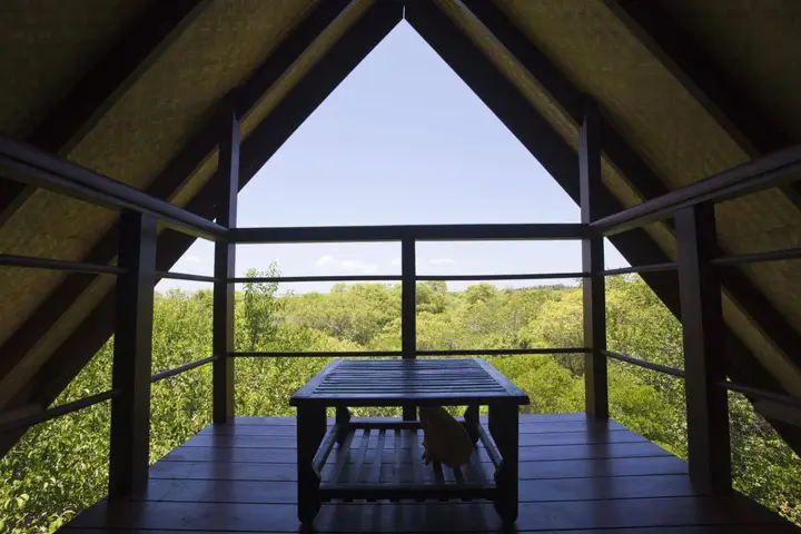 Кандакули: Ruwala Resort