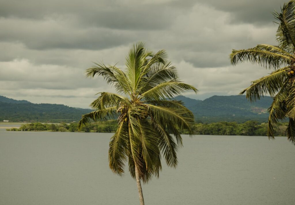 Киринда: Thaulle Pure Ayurveda Resort - Yala