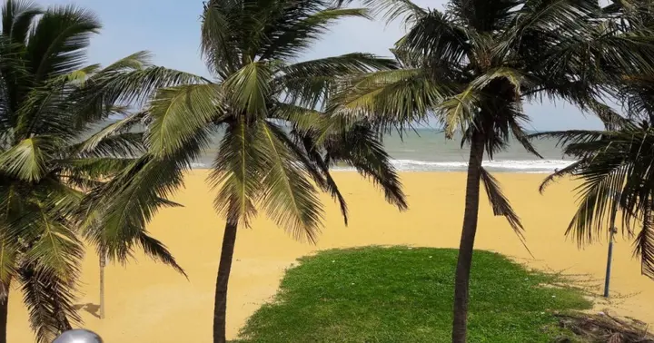 Негомбо: Oasis Beach Resort