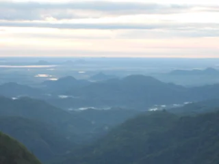 Элла: Green Hill