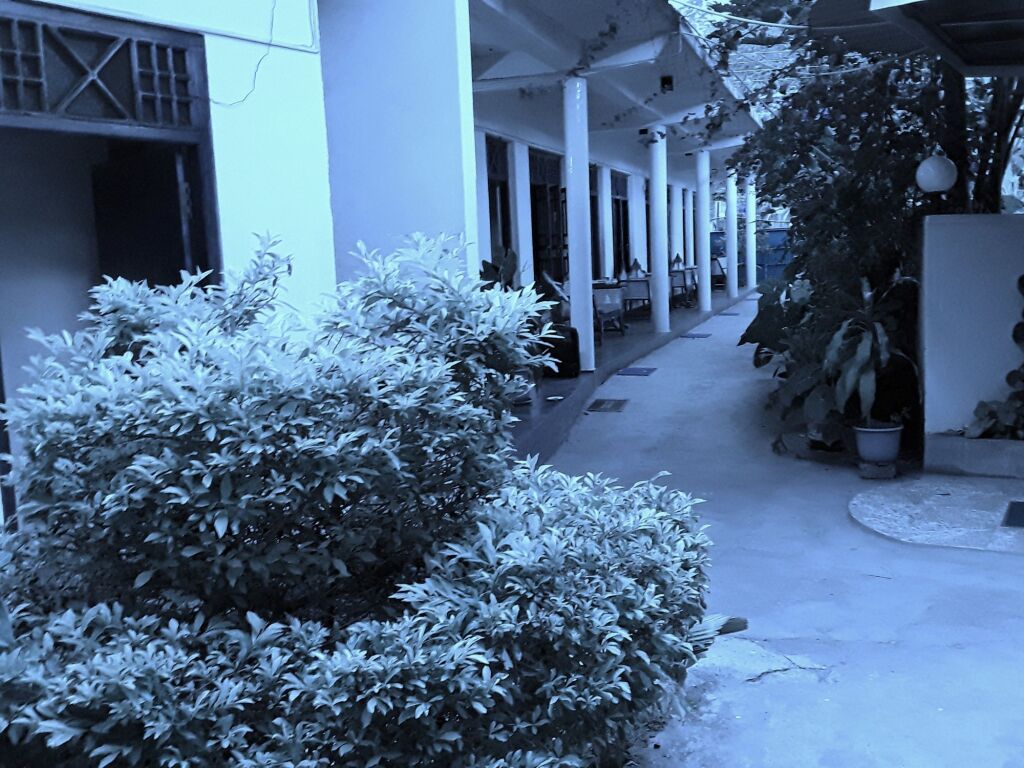 Элла: Ella Grand Peak Hotel