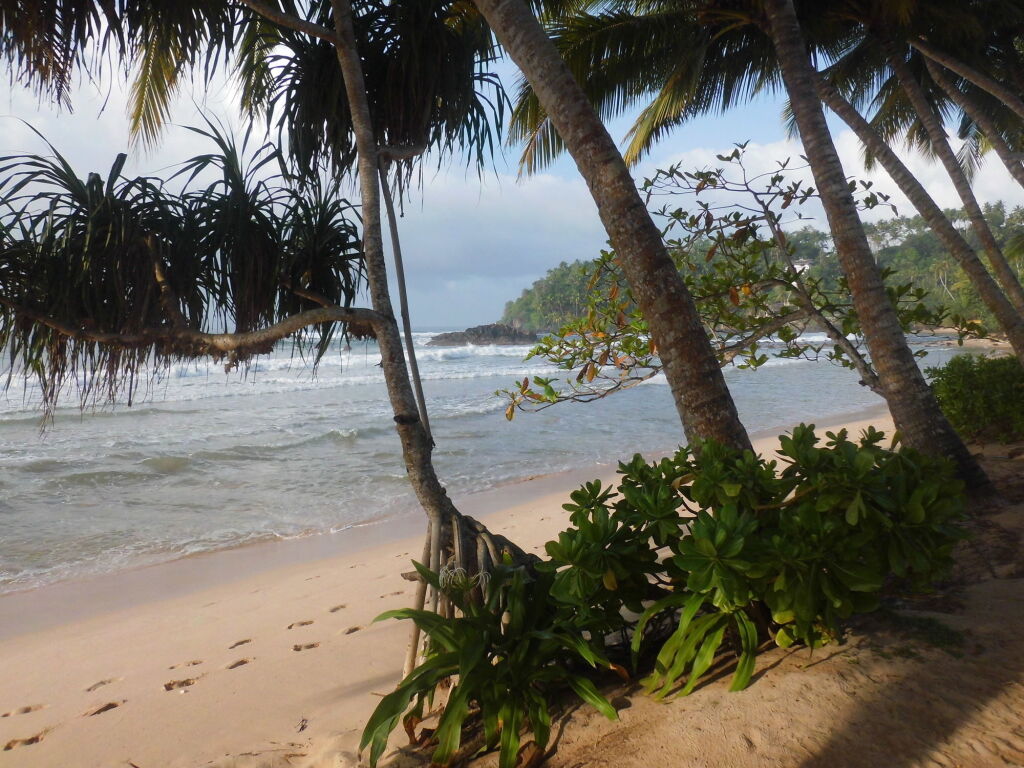 Мирисса: Paradise Beach Club