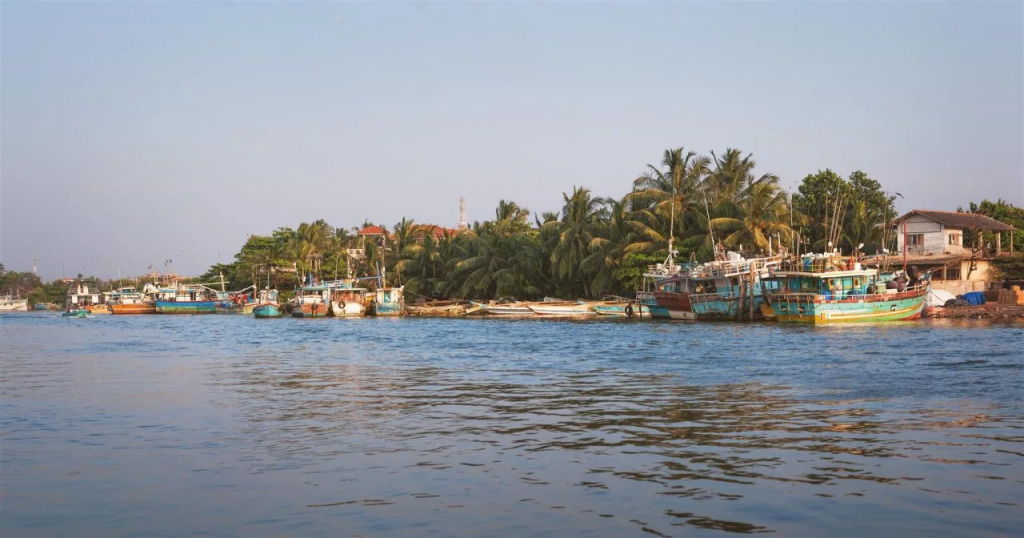 Негомбо: Thisara Holiday Bungalow