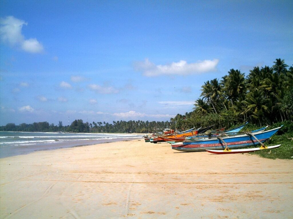 Велигама: Weligama Ocean Breeze