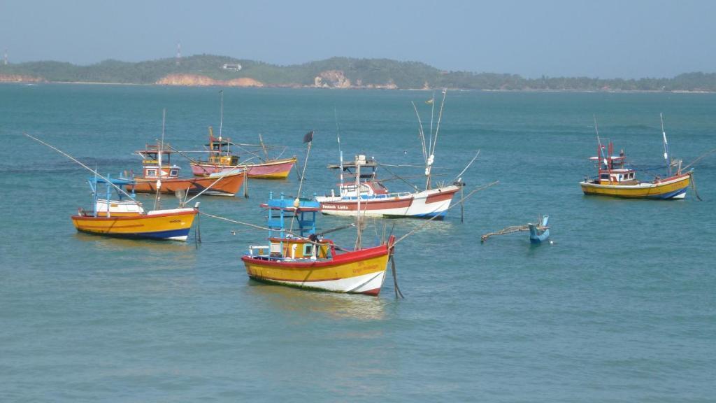 Велигама: Weligama Ocean Breeze