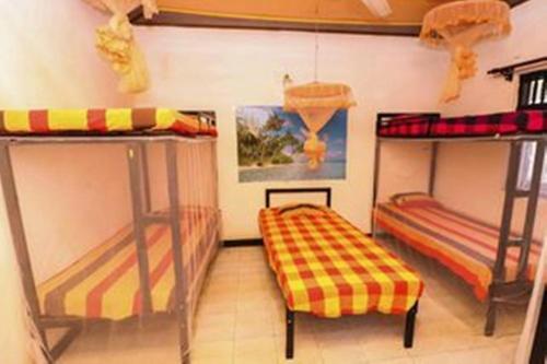 Негомбо: New Negombo Beach Hostel