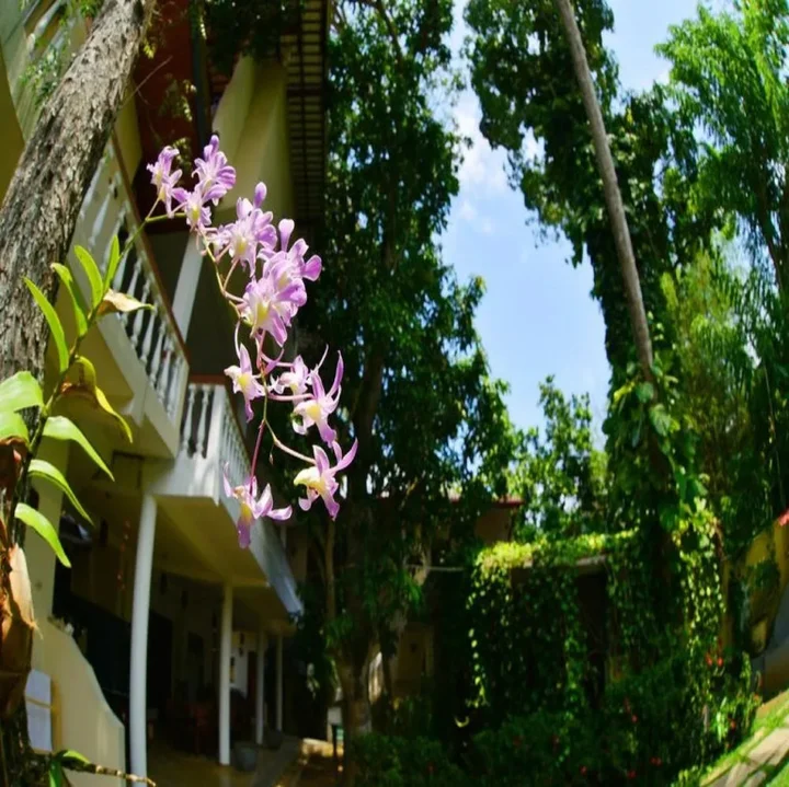 Унаватуна: Unawatuna Beach Bunglow