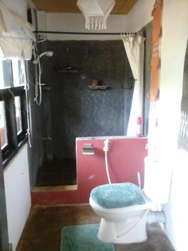 Дамбулла: Rock View Home Stay