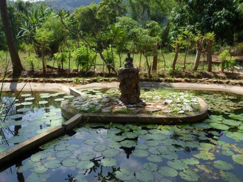Дамбулла: Rock View Home Stay