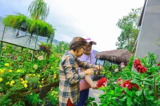 Элла: Ella Flower Garden Resort