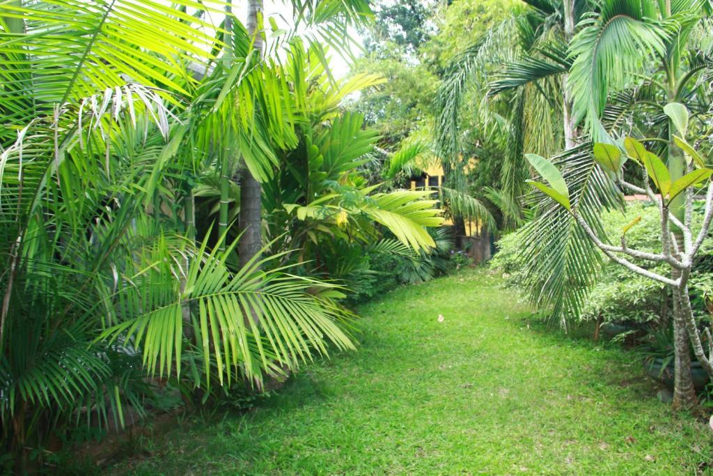 Kandyan House — фото 6