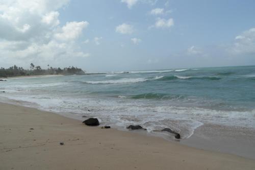 Ахангама: Dolce Vita Surf Rest Point