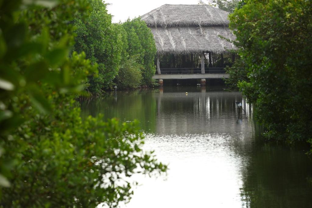 Мараколлия: Mangrove Beach Chalets