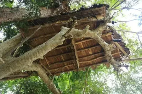 Киринда: Kumbuk Tree House