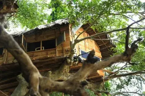 Киринда: Kumbuk Tree House