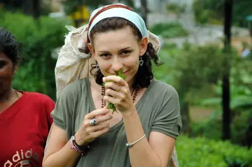 Велигама: Kalyani Home & Tours Weligama