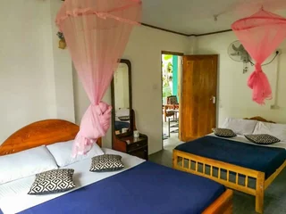 Элла: Blossom Inn