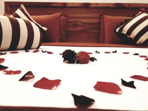 Элла: Leisure Dream Inn