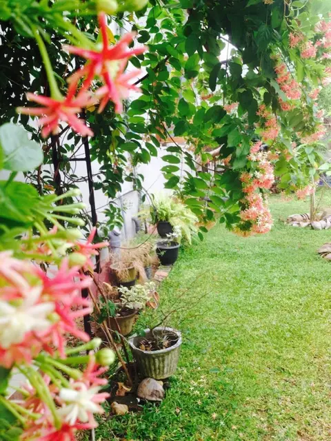 Негомбо: Manik Home Stay