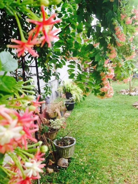 Негомбо: Manik Home Stay