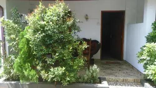 Sandun Uyana — фото 6