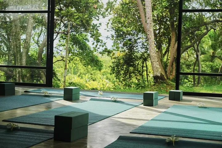 Ахангама: Samadara Estate, Midigama
