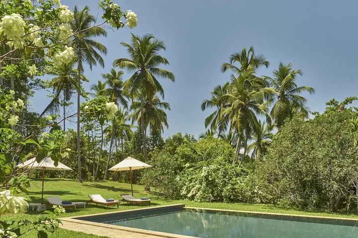 Ахангама: Samadara Estate, Midigama