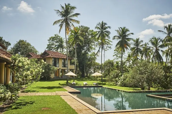 Ахангама: Samadara Estate, Midigama
