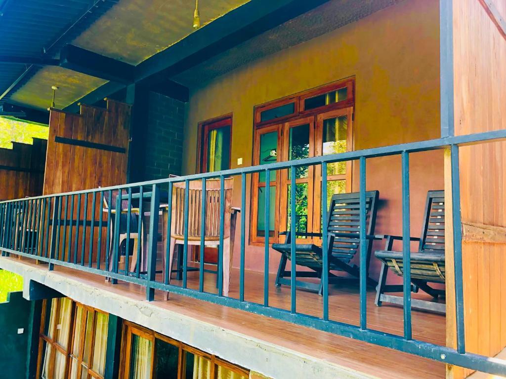 Элла: Wild Resort Ella
